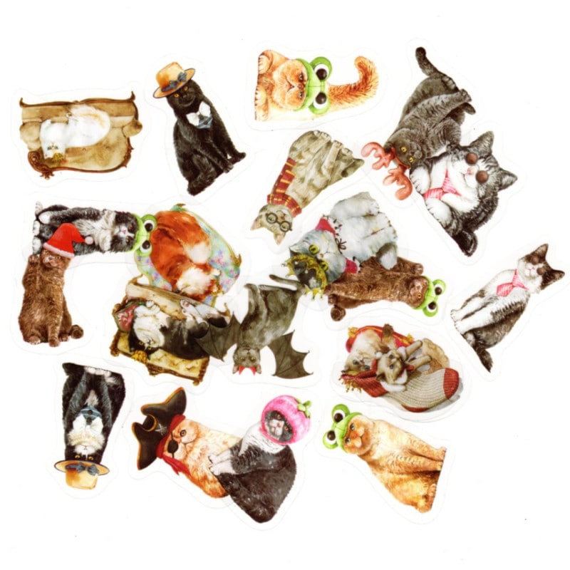 ե졼 å åǺ ǭ󥷥꡼ ǭǭ PETǺ40set