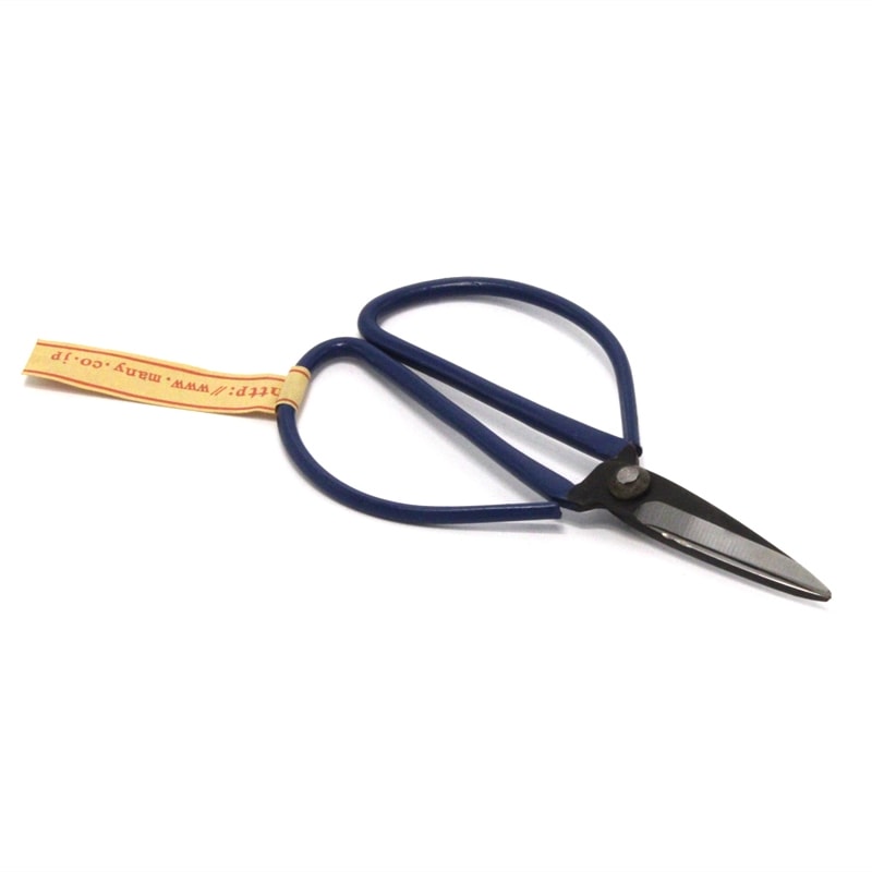 ����󥷥�ޥ� ����ƥ����� ���顼�ϥ��� �ʥ֥롼�� le grand chemin