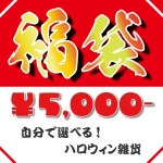 自分で選べる！　　5,000円ハロウィン福袋 　絶対にお得！　 配送料無料
