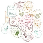 ����ܥ��ù���������ơ��������롡��ʪ