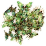 �󲡤��ù������롡�Х��ե饤���꡼�������С�20�祻�åȡ�PTE�Ǻ�