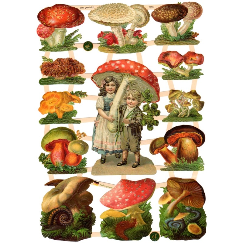 �����ꥹ�� �����⥹ ������åץ����� �ʤ��Τ��߾����߾�ǯ��