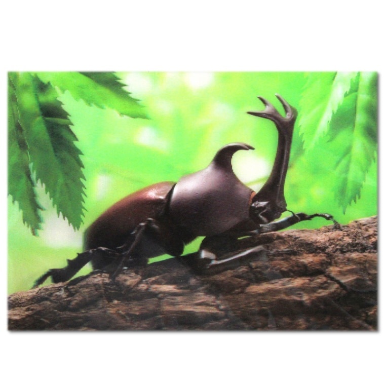 日本製　カブトムシの３Dポストカード