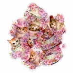 フレークシール セット スクラップ素材 桜シリーズ （キャット） 箔押し加工 PET素材