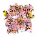 フレークシール セット スクラップ素材 桜シリーズ （バード） 箔押し加工 PET素材