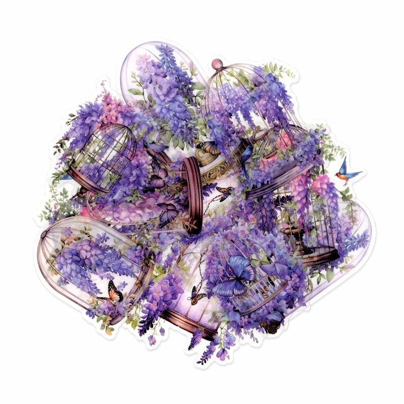 ե졼 å åǺ ե饹ɡॷ꡼ ʥѡץ PETǺ