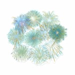 ե졼 å åǺ ֲХ꡼ ʥ饤ȥ֥롼 󲡤ù PETǺ