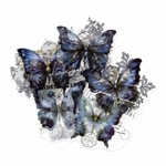 ե졼 å åǺ ĳι򥷥꡼ ʥѡץ 礭 PETǺ