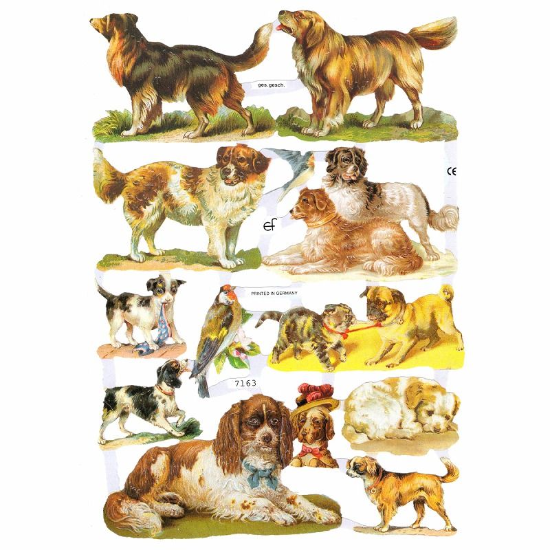 �ɥ����� �����⥹ ������åץ����� �ʸ��Ť�����