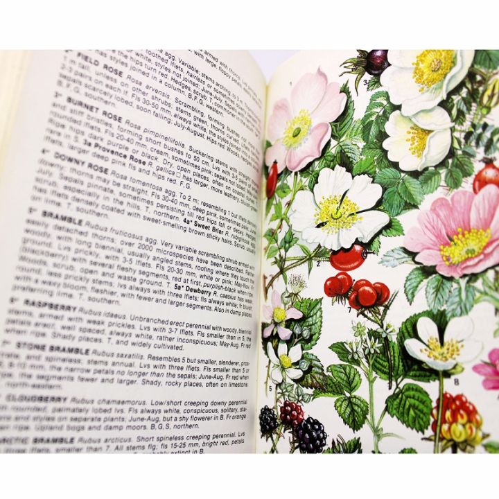 洋書 南アフリカワイルドフラワーガイドNo.4、5、7専門書、植物図鑑