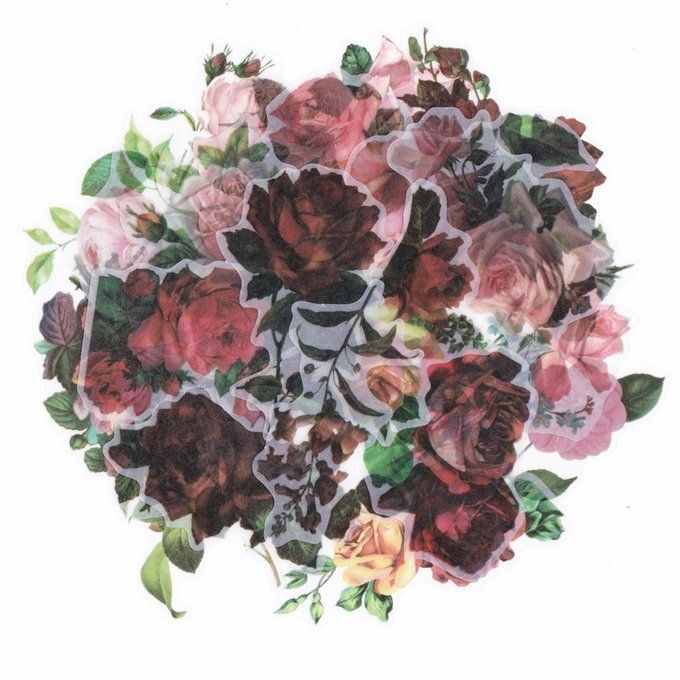 �ե졼�������� ���å� ������å��Ǻ� ��ȥ��ե����꡼�� �ʥ������� PET�Ǻ�