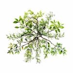 ե졼 å åǺ ե꡼ ʥ꡼ PETǺ