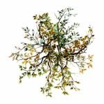 ե졼 å åǺ ե꡼ ʥ֥饦 PETǺ