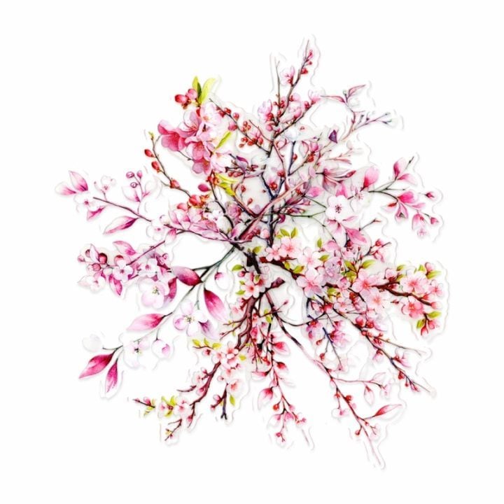 �ե졼�������� ���å� ������å��Ǻ� ���ե��꡼�� �ʥԥ󥯡� PET�Ǻ�