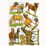 �ɥ����� �����⥹ ������åץ����� ����D��