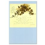 �ĥ��ο�ʪɸ�� �ݥ��ȥ�����