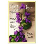 �ޡ���� ���ߥ�ΥС����ǡ��ݥ��ȥ�����