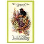 ��ǭ����Ŵ�ΥС����ǡ��ݥ��ȥ�����