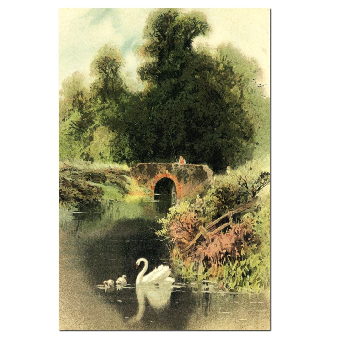 アルル―＝パリュエル付近の古い煉瓦の橋 ポストカード | 新入荷