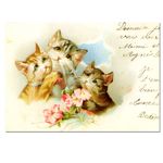 �ԥ󥯤β֤�3ɤ�λ�ǭ