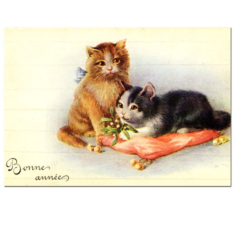 ��ɥꥮ��2ɤ�λ�ǭ �ݥ��ȥ�����