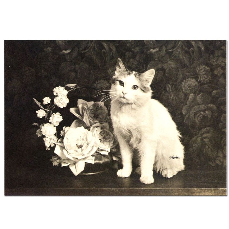 ���鯤�ǭ �ݥ��ȥ�����