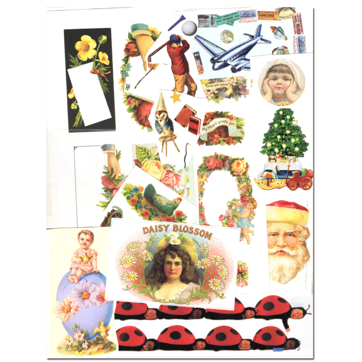 �ڷ���Ф�ʪ�� ������ �ͤ��碌 ���å� GL