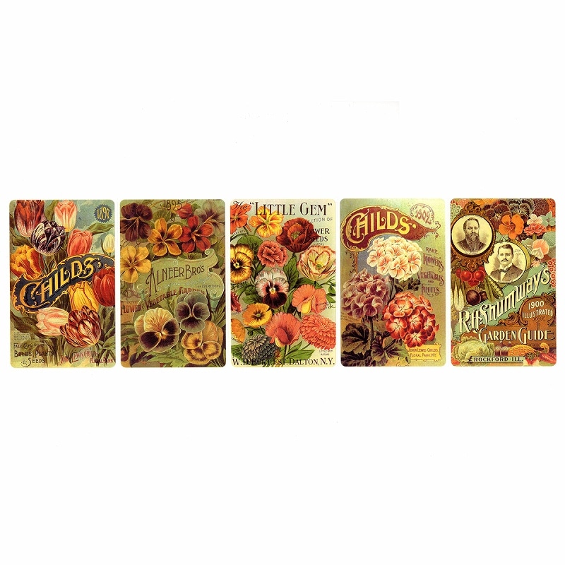 Victorian Greetings シール 5枚セット 紙素材 (フラワー2)