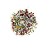 �ڷ���Ф�ʪ�ۥե졼�������� ���å� ������å��Ǻ� �ʥե��ߥԥ󥯡ߥ�åɡ� �»��Ǻ�