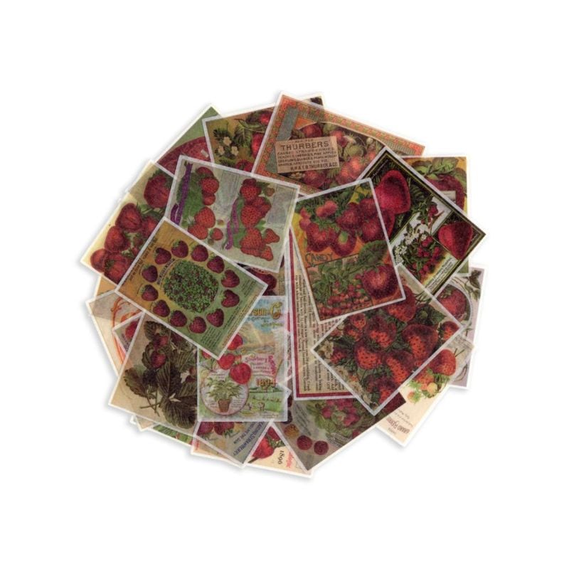 �ե졼�������� ���å� ������å��Ǻ� �������� �»��Ǻ�