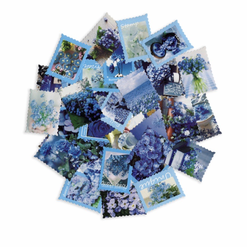 �ե졼�������� ���å� ������å��Ǻ� �ե�&�ڼꥷ�꡼�� �ʥ֥롼�� ���Ǻࡡ�����դ�