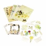 �ե졼�������� & �ǥ�����ڡ��ѡ� ���å� ������å��Ǻ� �֤�ĳ���꡼�� �ʥ��������� PET&���Ǻ�