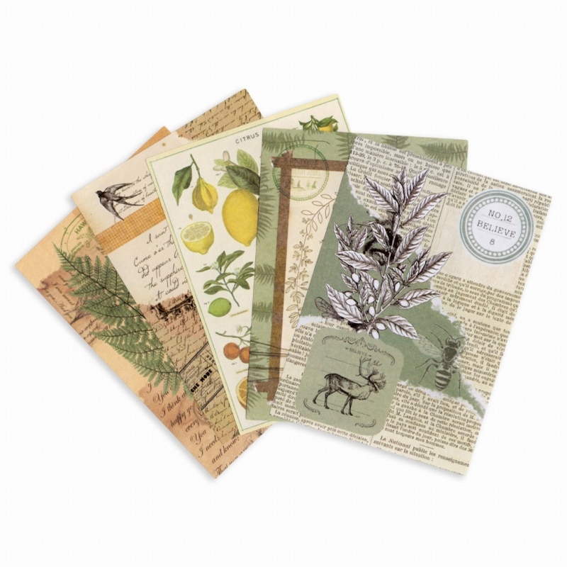 �ǥ�����ڡ��ѡ� ���å� ������å��Ǻ� ����ư��ʪ���꡼�� (�ȥʥ���) ���Ǻ� 5��