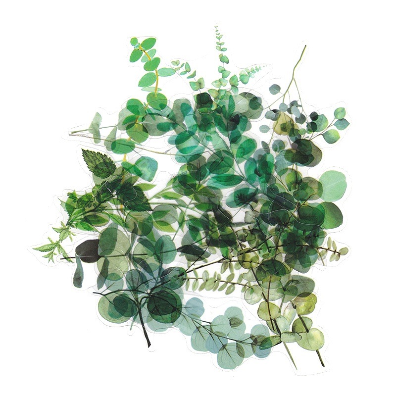 �ڷ���Ф�ʪ���������ʡۥե졼�������� ���å� ������å��Ǻ� (�����̿������꡼���ߥ桼����� PET�Ǻ�