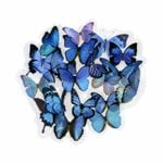 �ե졼�������� ���å� ������å��Ǻ� (�罸�륷�꡼�����Ĥ�ĳ�� PET�Ǻ�