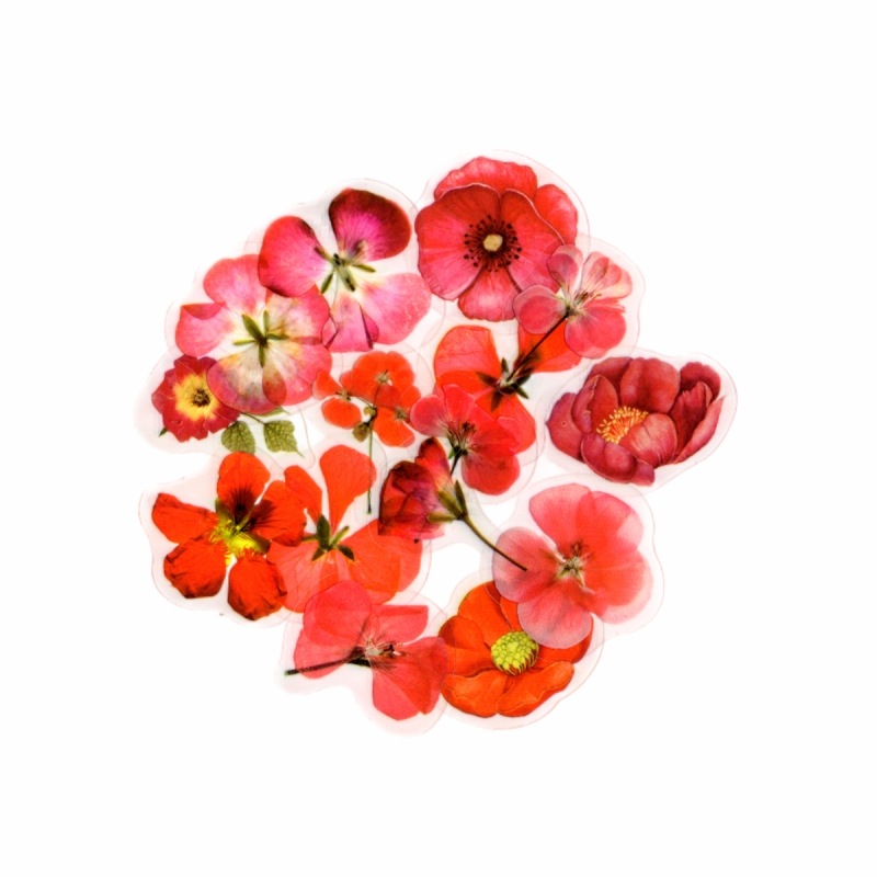 �ե졼�������� ���å� ������å��Ǻ� (�֤��֡ߥܥȥ�� PET�Ǻ�