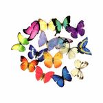 �ե졼�������� ���å� ������å��Ǻ� (ĳ�ߥܥȥ�� PET�Ǻ�