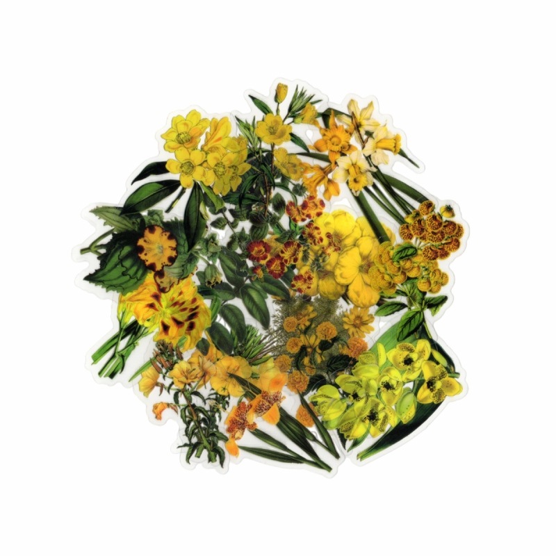 �ե졼�������� ���å� ������å��Ǻ� (��ʪ���붭���꡼���ߥ��������� PET�Ǻ�