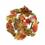 �ե졼�������� ���å� ������å��Ǻ� (��ʪ���붭���꡼���ߥ���󥸡� PET�Ǻ�