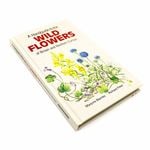 �ڷ���Ф�ʪ��������ơ����ʡ� ��A Handguide to the Wild Flowers of Britain and Northern Europe�� ��ʪ�޴� �ν� �ϡ��ɥ��С�