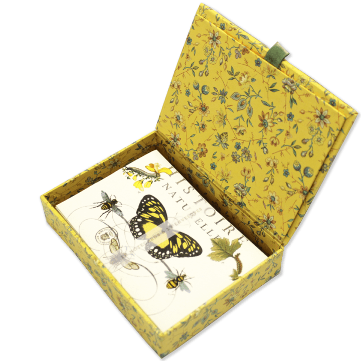 Fringe Studio�ʥե�󥸥��������� ���꡼�ƥ��󥰥����� BOX���å� �ڥ���������ĳ��˪��