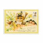 �ɥ����� �����������å� �ݥ��ȥ�����  (�ͥ��ߥ�å�)