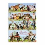 �ɥ����� ��� ����ޤ� ���꡼�ƥ��󥰥�����   (�ͥ��ߤ��ˤ�)