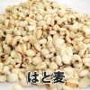 はと麦 (島根県産) 100g/500円〜