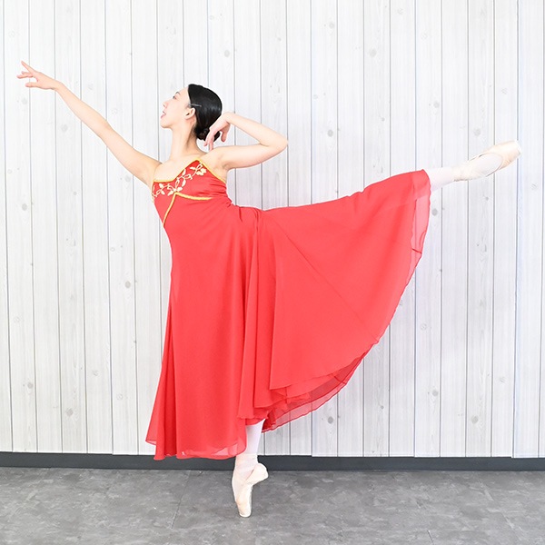 Х쥨   Х쥨  ͥ       쥪  ȯɽ tutu  al1055( ͥ ˥   Х쥨     zeemax )̵ü̡