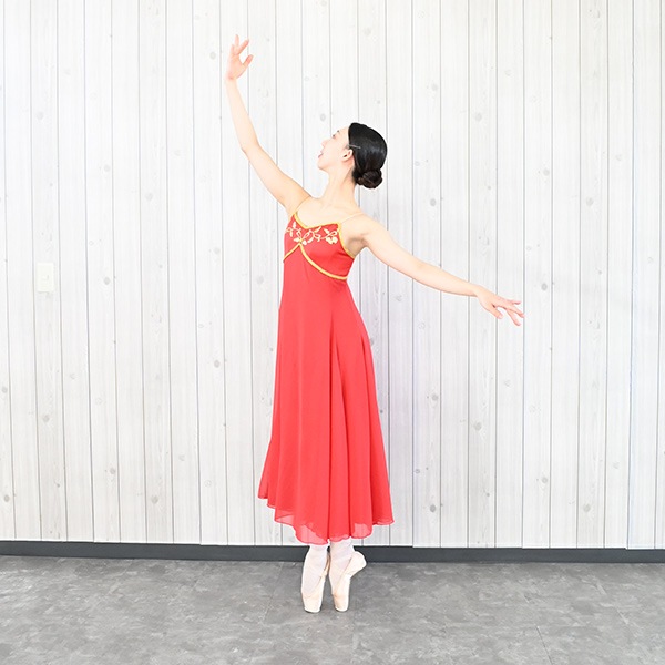 Х쥨   Х쥨  ͥ       쥪  ȯɽ tutu  al1055( ͥ ˥   Х쥨     zeemax )̵ü̡