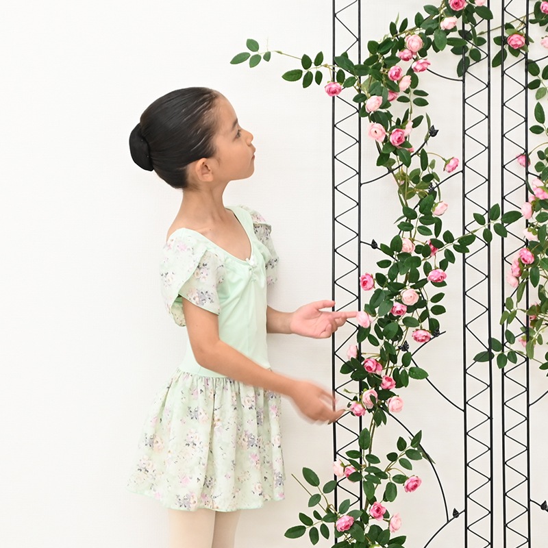 ҶХ쥨쥪   å ˥  襤 Ⱦµ դ ʥǺ  硼ʬΥ 110 120 cl0723 (  Х쥨  zeemax )̵¨ȯOKʼݾڡ