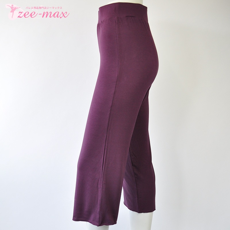 ߸˸¤ꡡ襬ѥ ʬ ab0008 ( 襬 ԥƥ ۥåȥ襬  ѥ ȥå ॢå 󥹥ѥ  zeemax )̵¨ȯOKʼݾڡsba