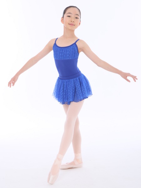�Х쥨 �������� �Ҷ� ����������ñ�� ���०������ �Х쥨�������� �� �� �֥롼 ���꡼�� �ϡ��� ����˥� ���襤��  22cm 26cm��  cl0337sk ( ���� ���� �Х쥨���� ������ zeemax )������̵����¨��ȯ��������OK���ʼ��ݾڡ�