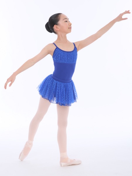 �Х쥨 �������� �Ҷ� ����������ñ�� ���०������ �Х쥨�������� �� �� �֥롼 ���꡼�� �ϡ��� ����˥� ���襤��  22cm 26cm��  cl0337sk ( ���� ���� �Х쥨���� ������ zeemax )������̵����¨��ȯ��������OK���ʼ��ݾڡ�